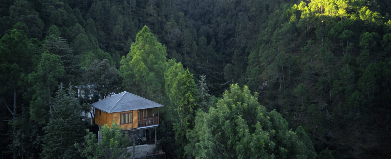 Tree Log Huts